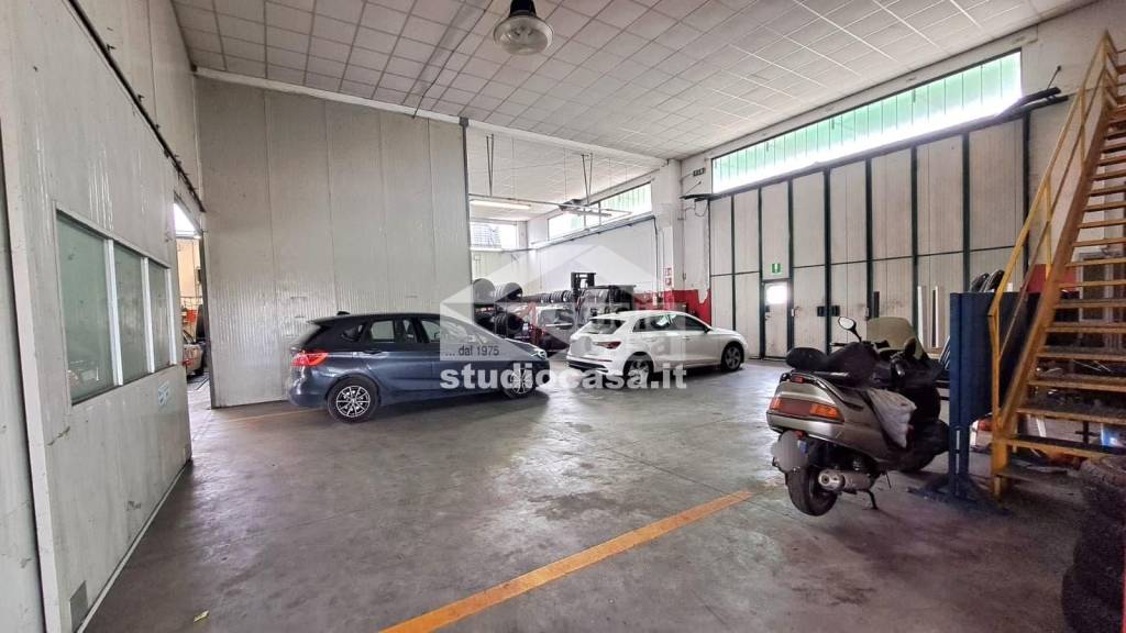 immagine annuncio 12 di 15