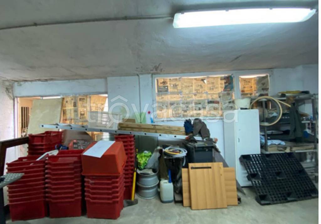 immagine annuncio 4 di 11