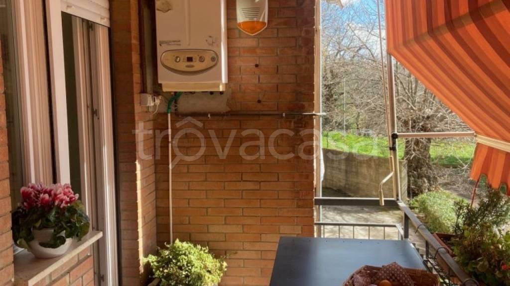 immagine annuncio 3 di 12