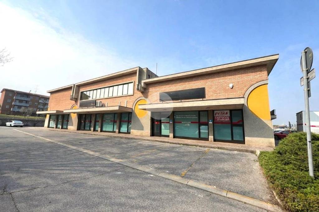 immagine annuncio 11 di 14