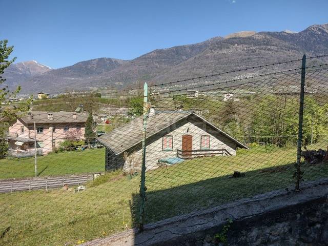 immagine annuncio 10 di 15