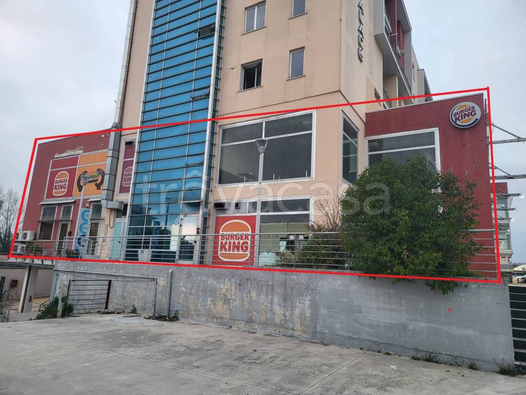 immagine annuncio 4 di 8