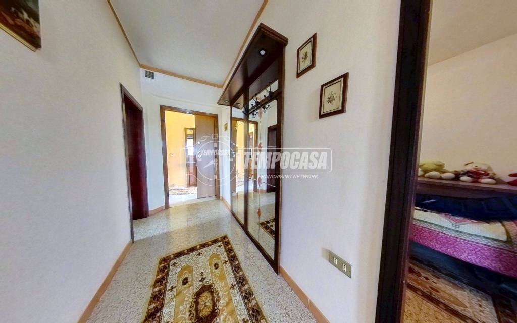 immagine annuncio 9 di 14