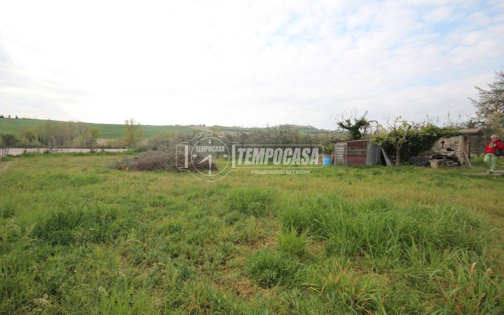 immagine annuncio 11 di 14