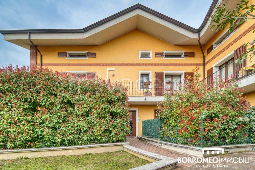 immagine annuncio 11 di 15