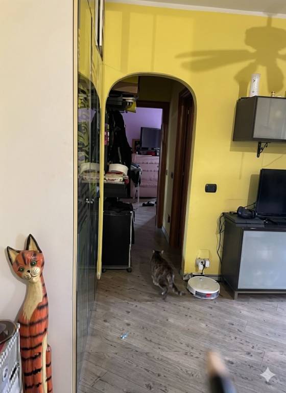 immagine annuncio 6 di 9