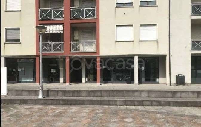 immagine annuncio 3 di 12