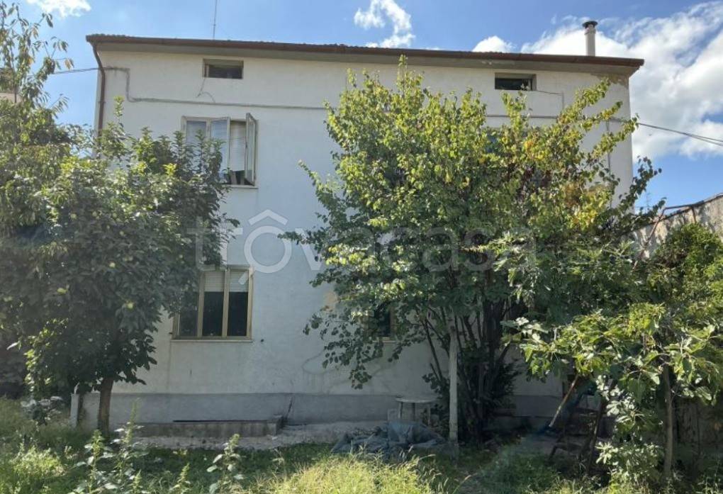 immagine annuncio 2 di 8