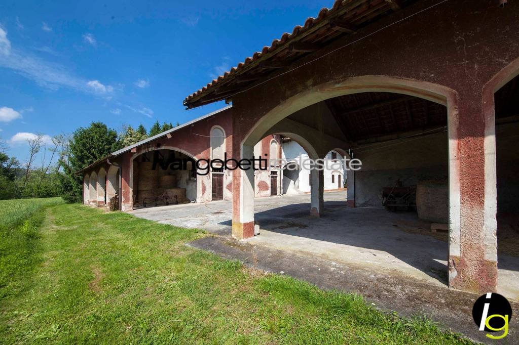 immagine annuncio 12 di 15