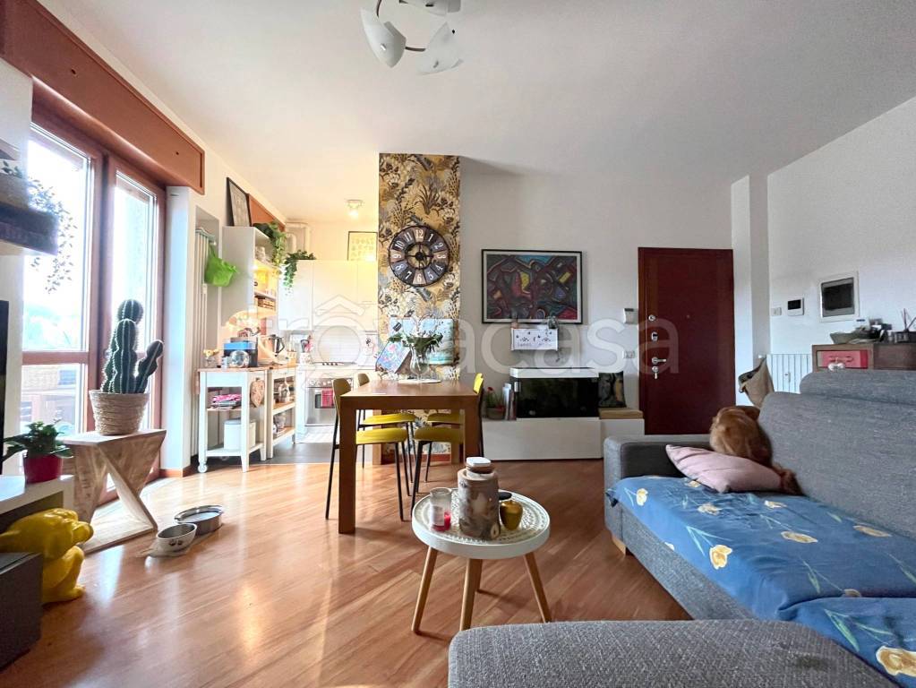 immagine annuncio 5 di 15