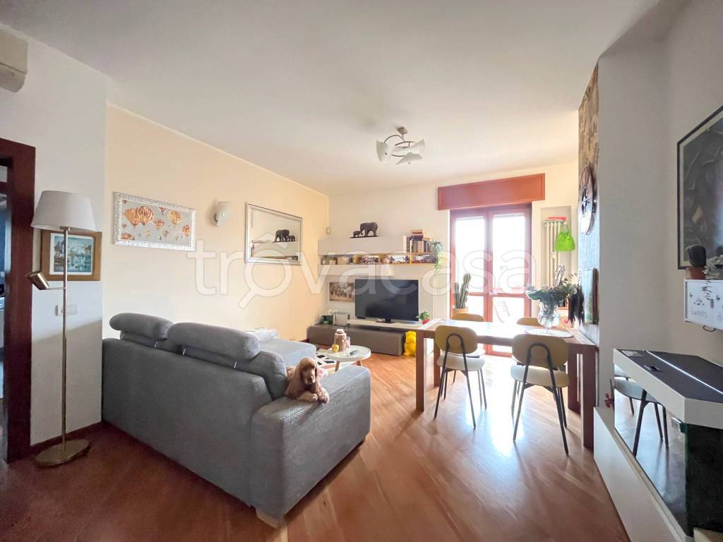 immagine annuncio 7 di 15