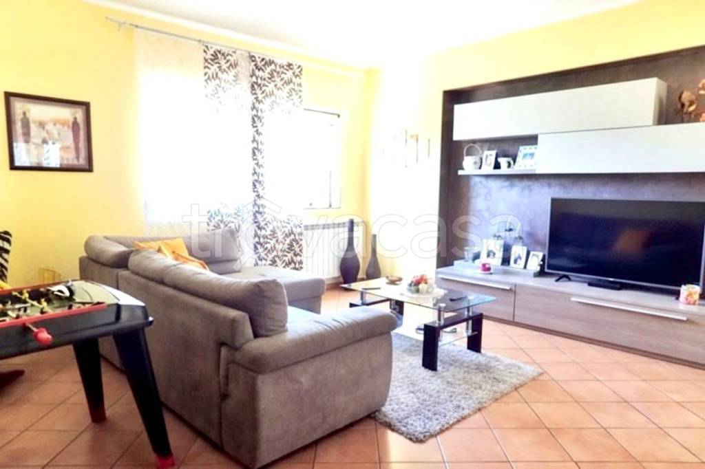 immagine annuncio 3 di 14