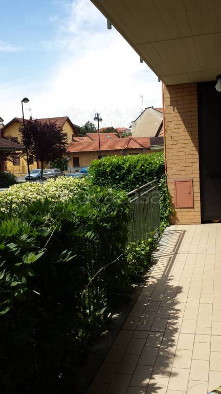 immagine annuncio 14 di 15