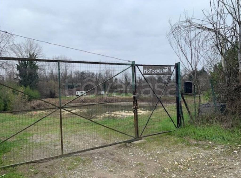 immagine annuncio 2 di 4