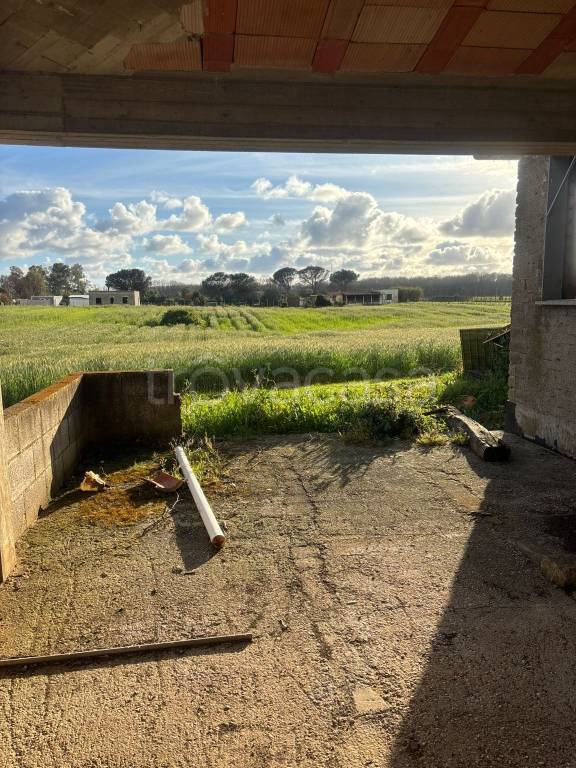 immagine annuncio 5 di 11