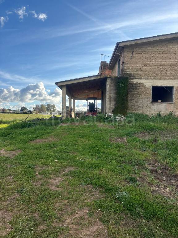 immagine annuncio 8 di 11