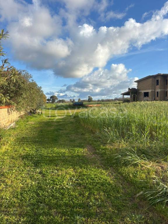 immagine annuncio 9 di 11