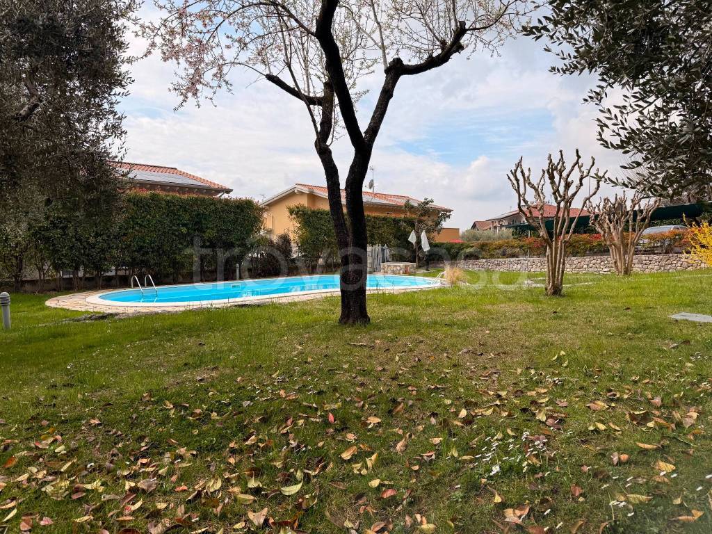 immagine annuncio 6 di 15