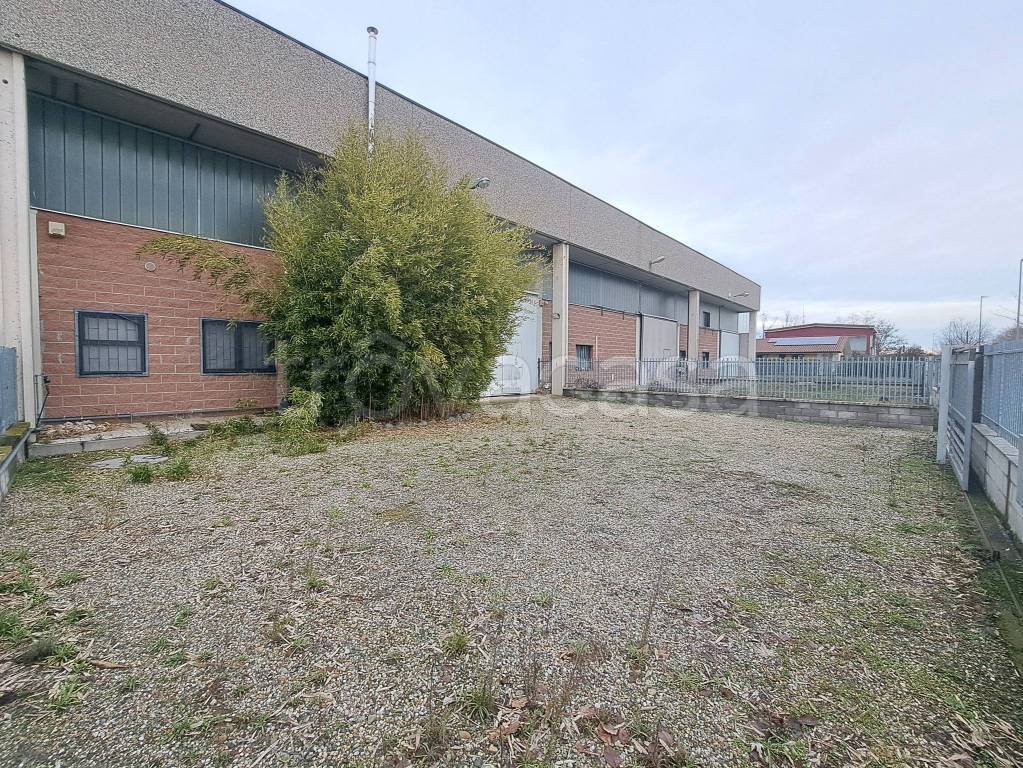 immagine annuncio 3 di 15