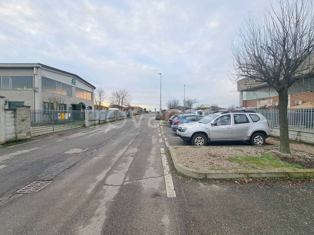 immagine annuncio 5 di 15