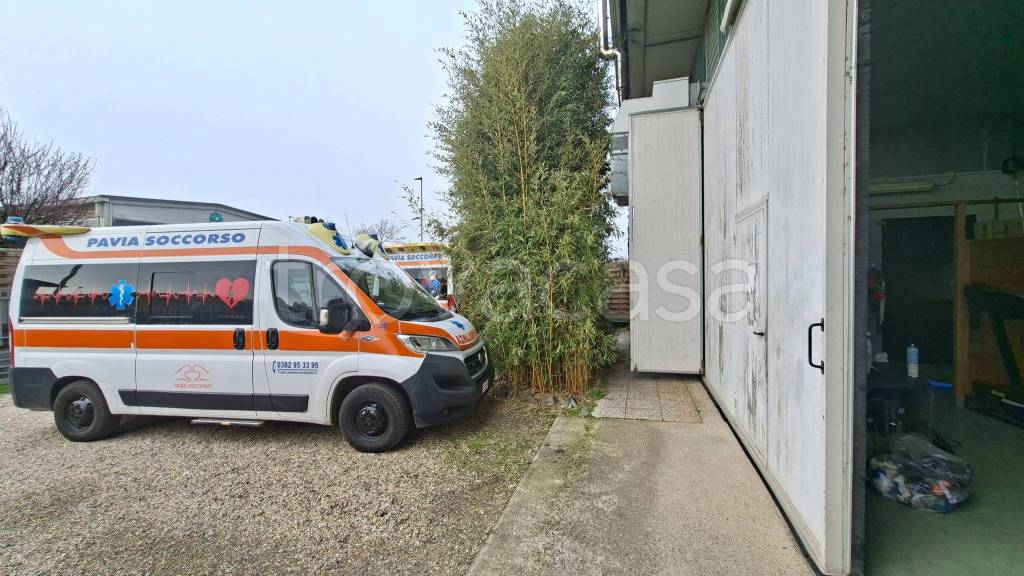 immagine annuncio 8 di 15