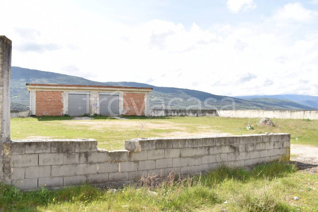 immagine annuncio 2 di 14