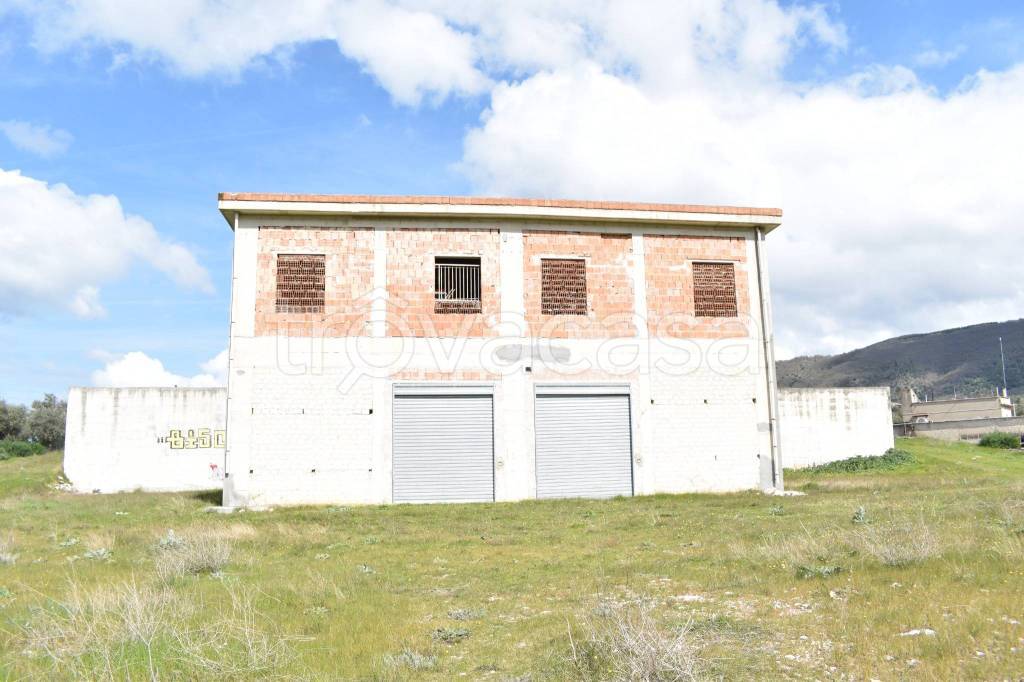 immagine annuncio 3 di 14