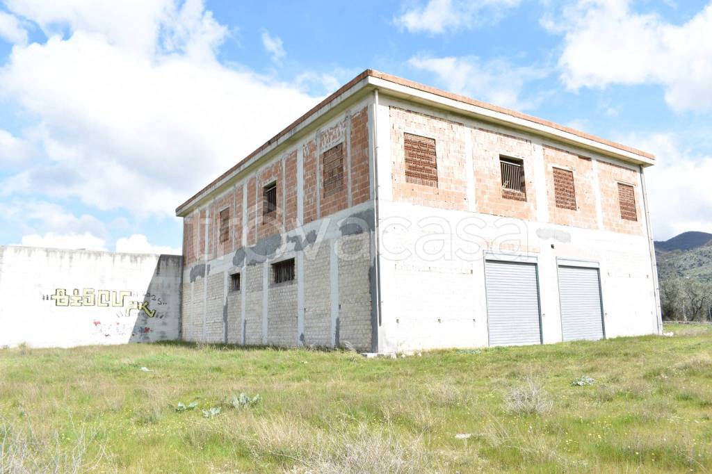 immagine annuncio 5 di 14