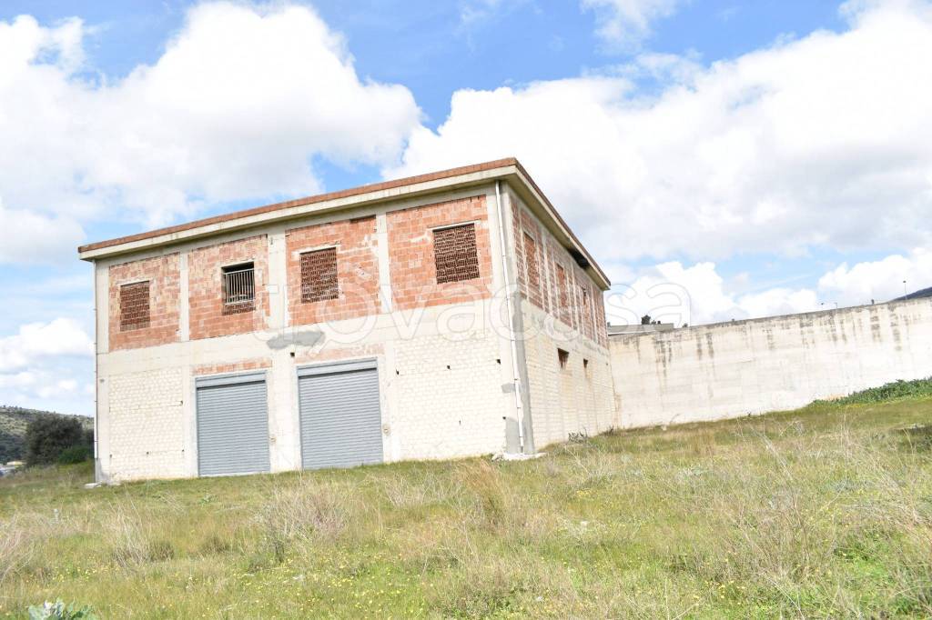 immagine annuncio 6 di 14