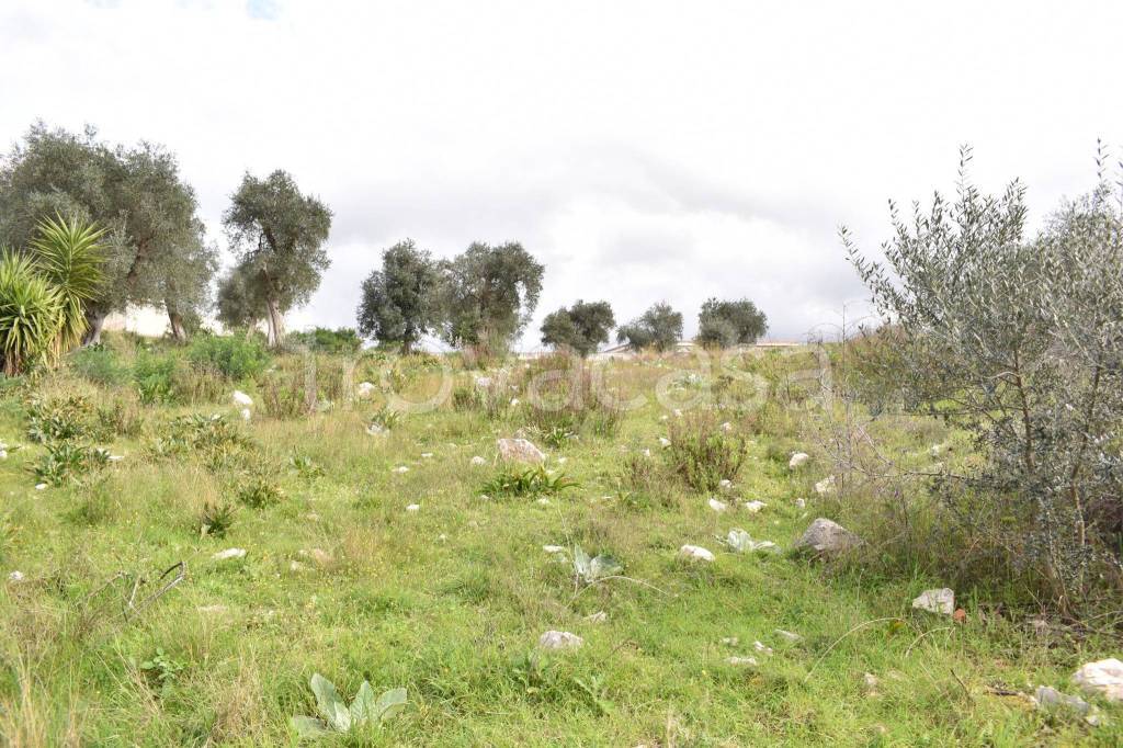 immagine annuncio 8 di 14