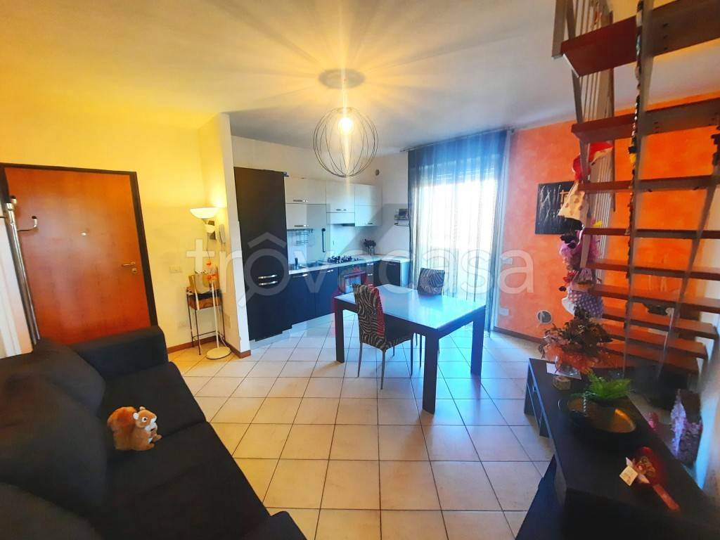 immagine annuncio 4 di 15