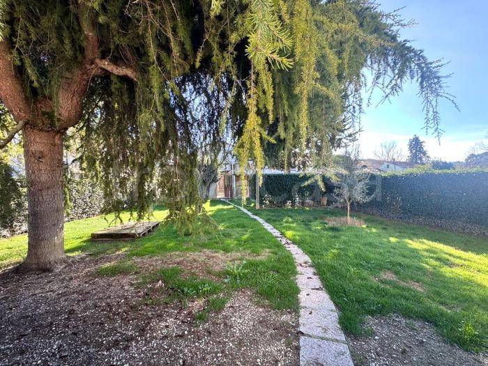 immagine annuncio 5 di 9