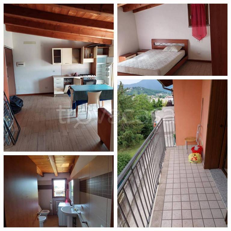 immagine annuncio 11 di 14