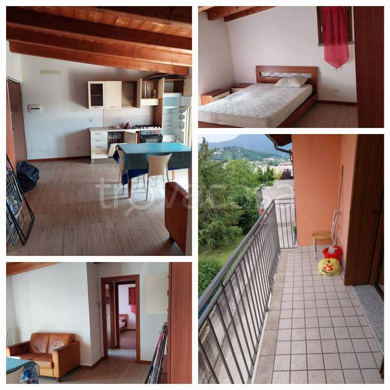 immagine annuncio 12 di 14