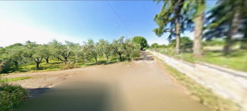 immagine annuncio 4 di 11