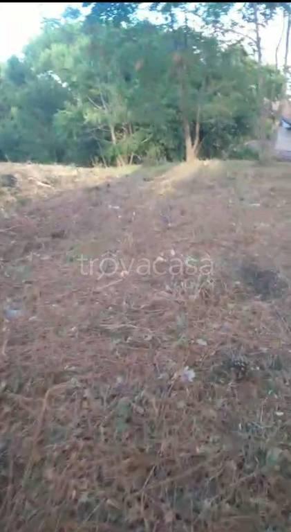 immagine annuncio 8 di 14