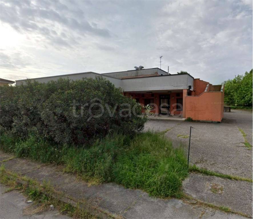 immagine annuncio 4 di 12