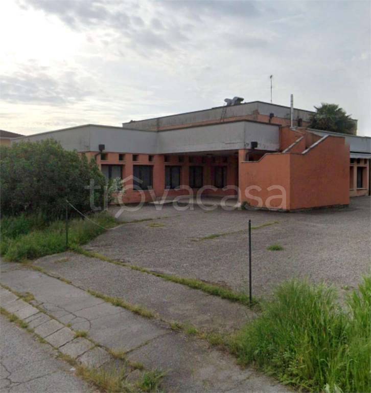 immagine annuncio 5 di 12