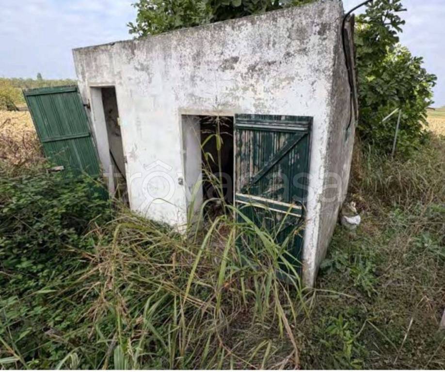 immagine annuncio 3 di 11