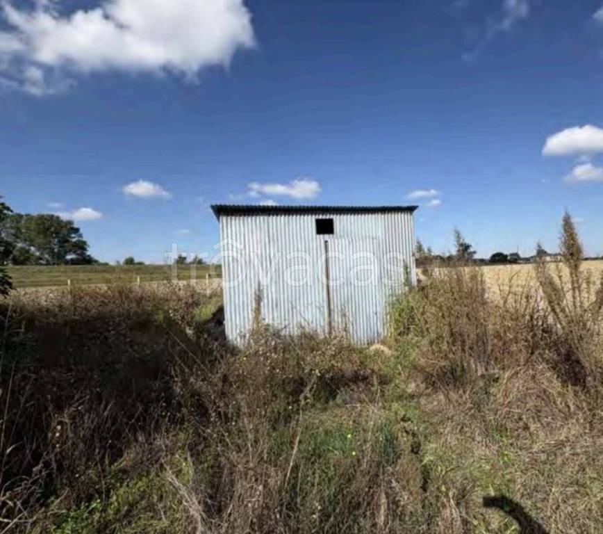 immagine annuncio 4 di 11