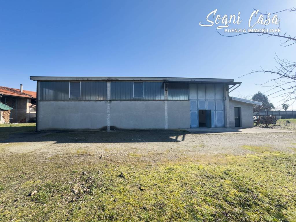 immagine annuncio 9 di 15