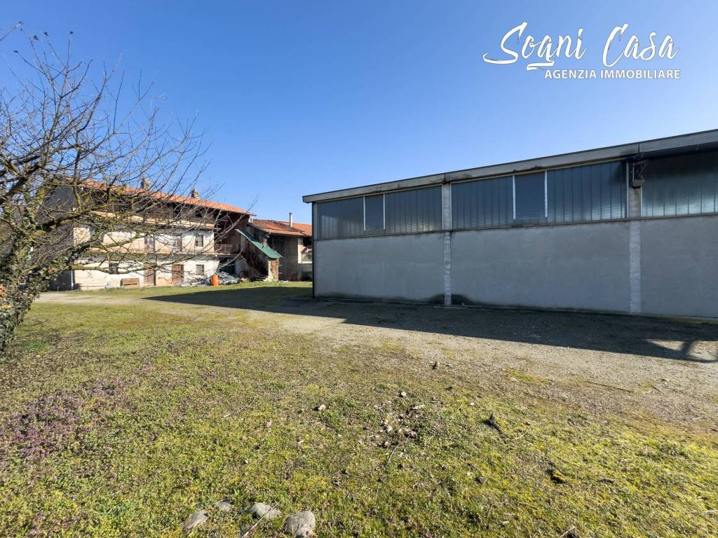 immagine annuncio 10 di 15