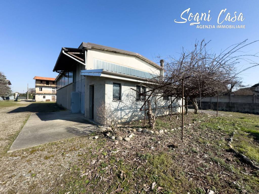 immagine annuncio 12 di 15