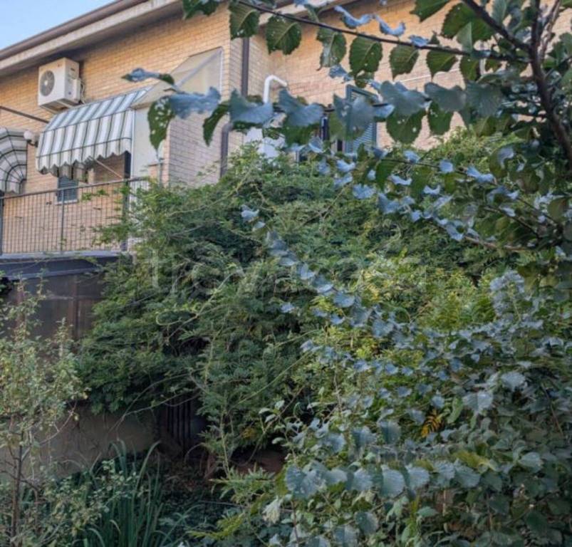 immagine annuncio 5 di 14