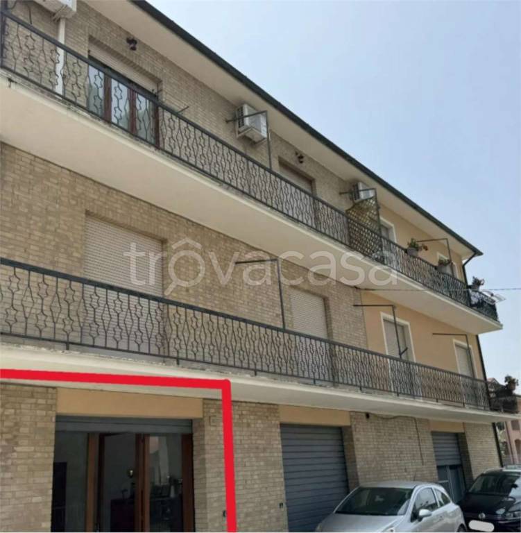 immagine annuncio 3 di 12