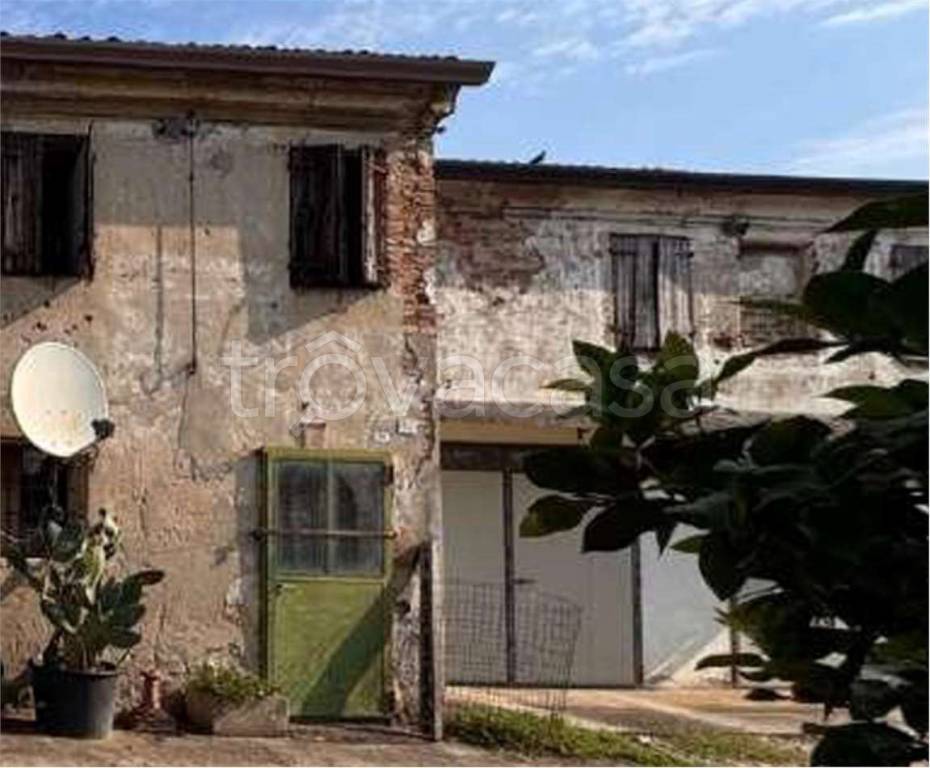 immagine annuncio 4 di 11