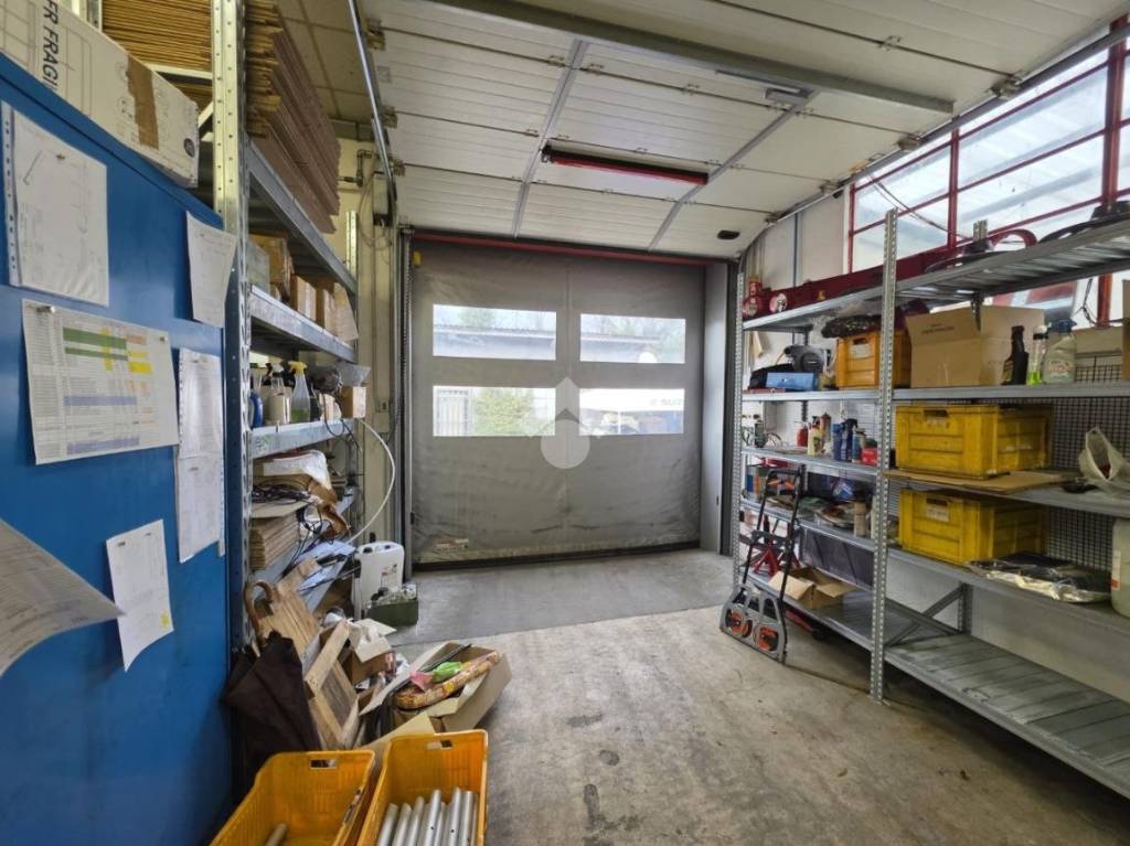 immagine annuncio 9 di 15