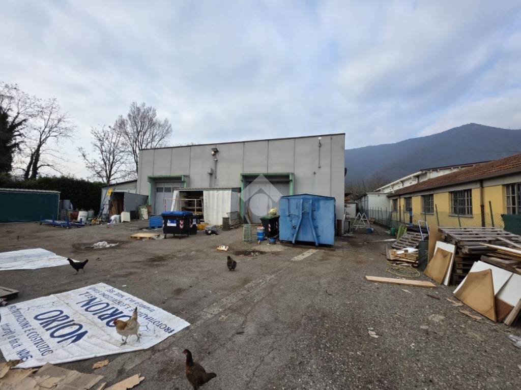 immagine annuncio 14 di 15