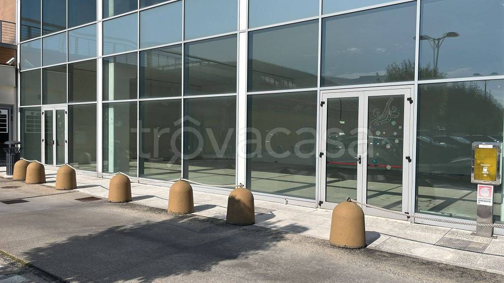 immagine annuncio 4 di 7