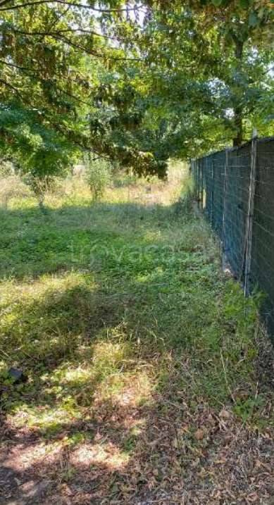 immagine annuncio 6 di 13